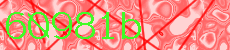 60981b